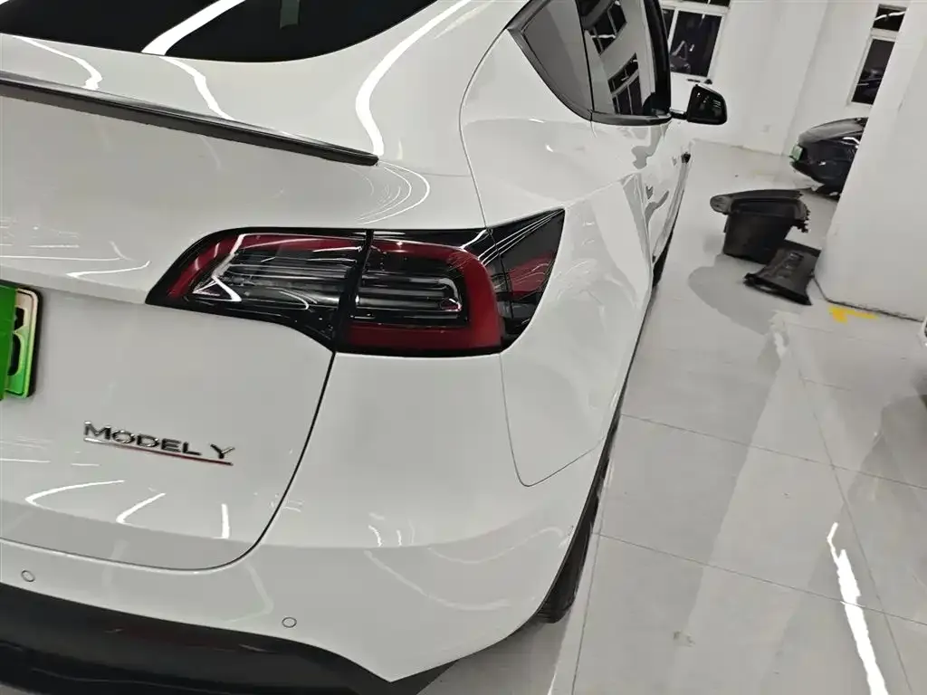 Tesla Model Y 2021 из CN, фото 2