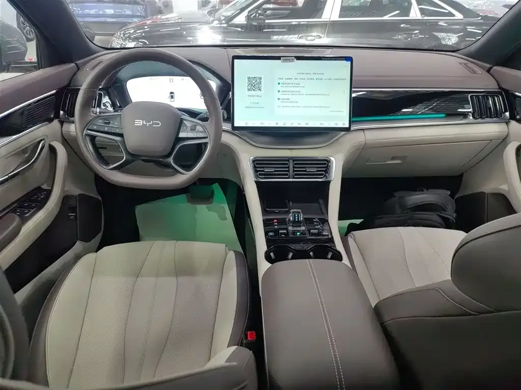 BYD PLUS New Energy 2025 из CN, фото 10