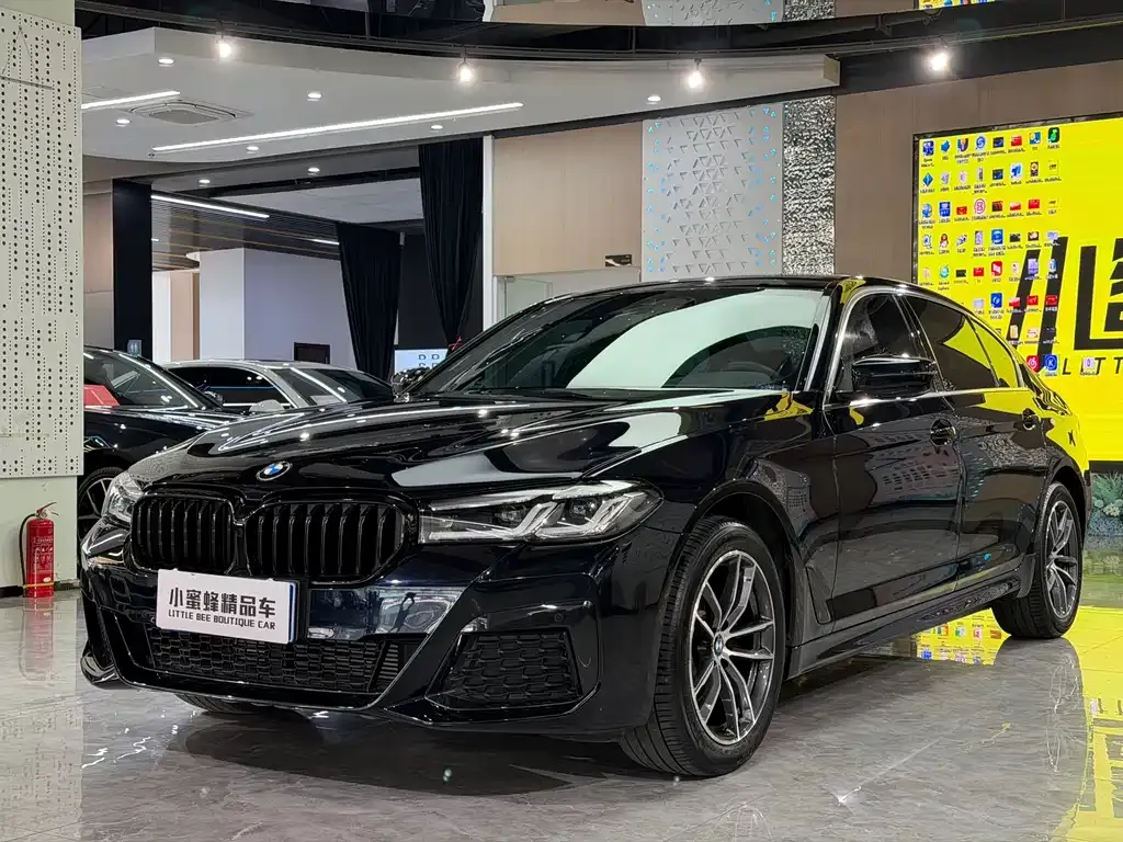 BMW 5 Series 2021 из CN, фото 1