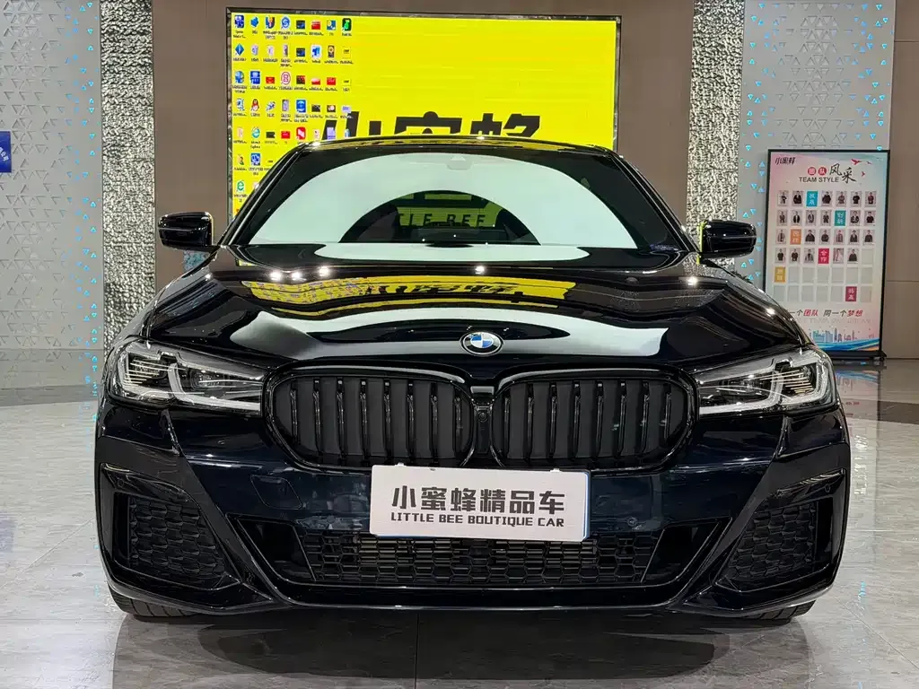 BMW 5 Series 2021 из CN, фото 10