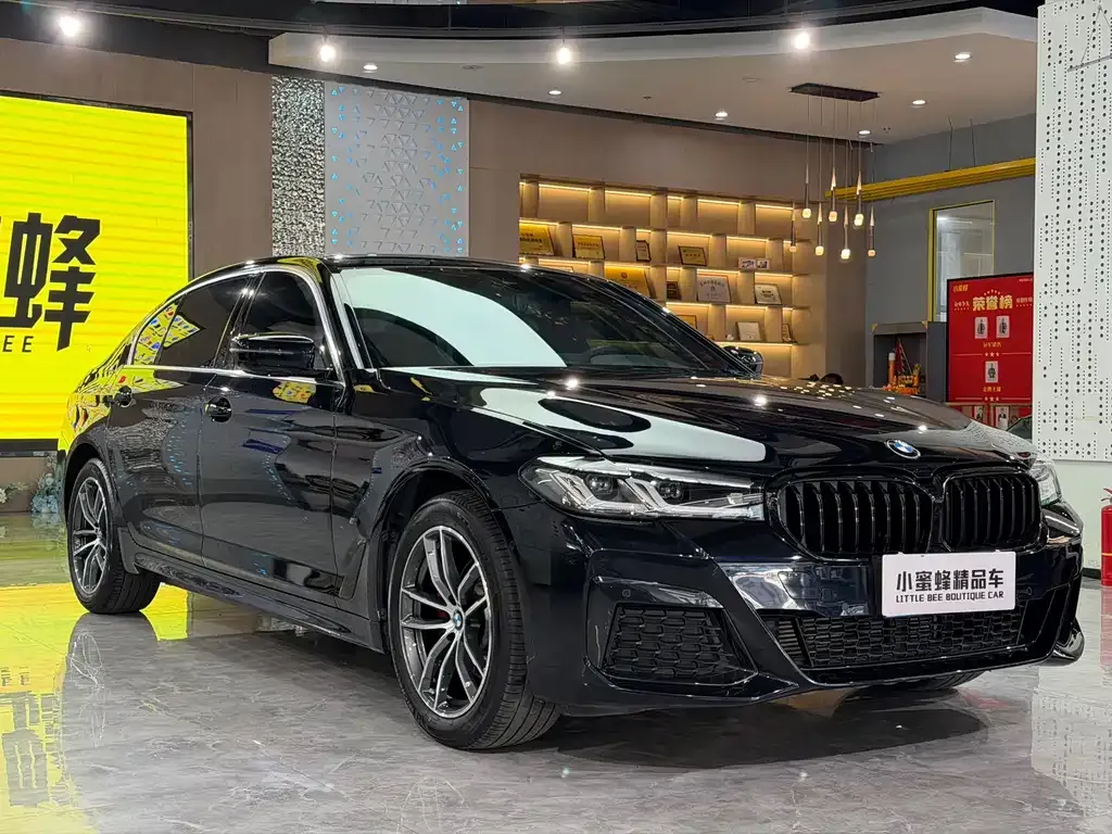 BMW 5 Series 2021 из CN, фото 3