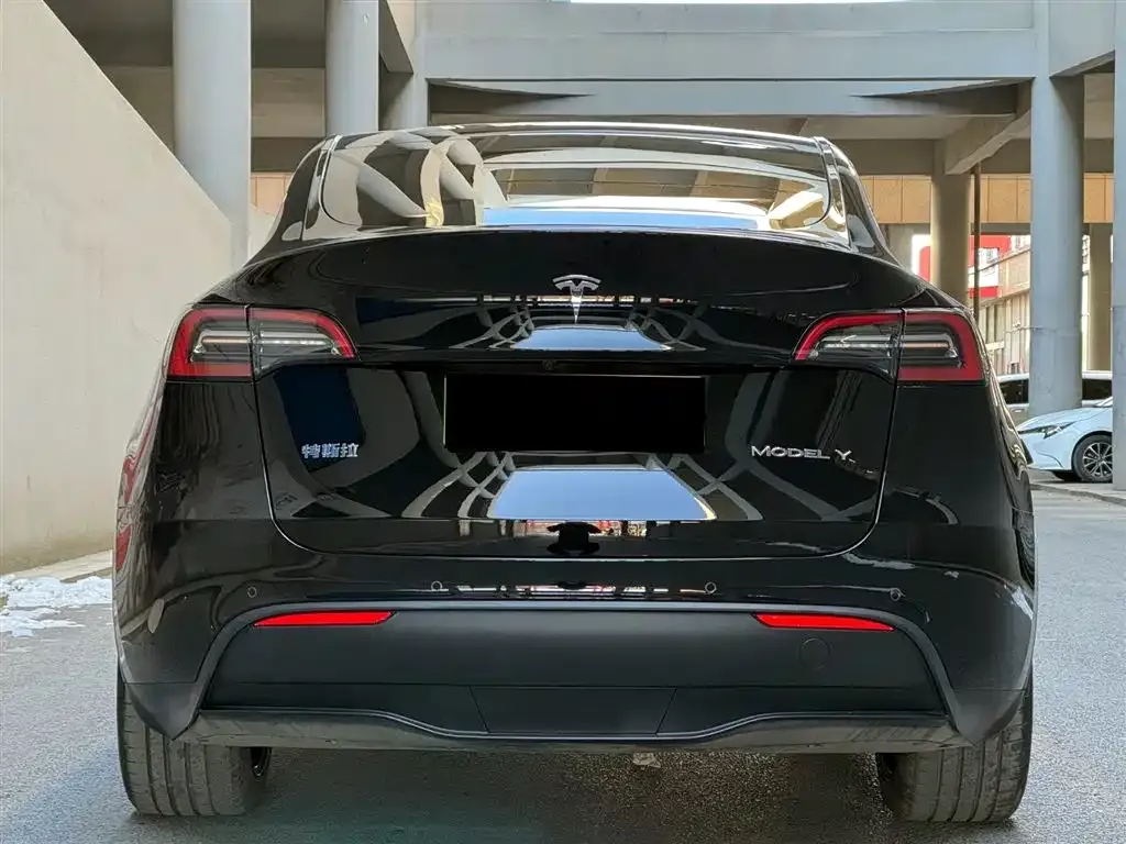 Tesla Model Y 2024 из CN, фото 6