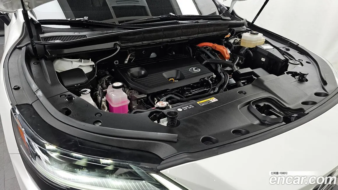 Lexus RX 2024 из KR, фото 10