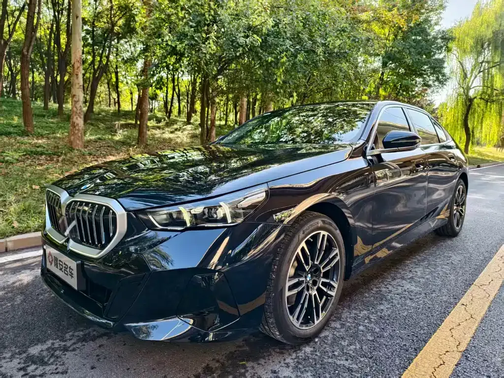 BMW 5 Series 2025 из CN, фото 7