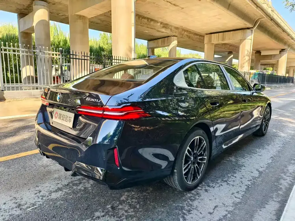 BMW 5 Series 2025 из CN, фото 8