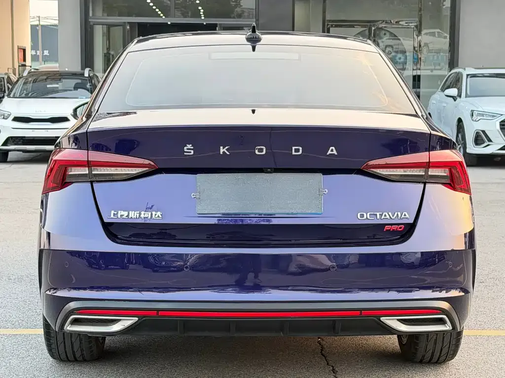 Skoda Octavia 2022 из CN, фото 5
