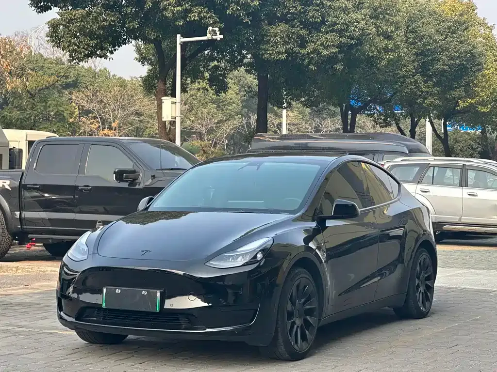 Tesla Model Y 2023 из CN, фото 1