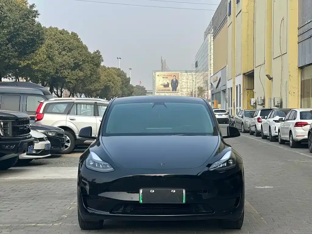 Tesla Model Y 2023 из CN, фото 2