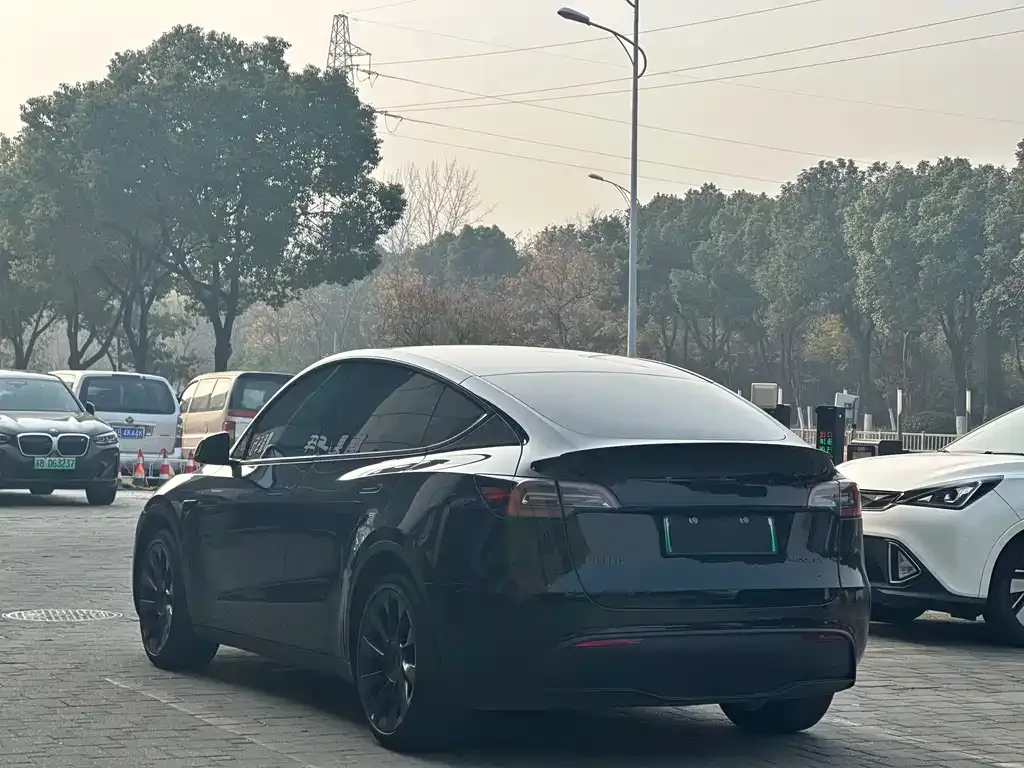 Tesla Model Y 2023 из CN, фото 4
