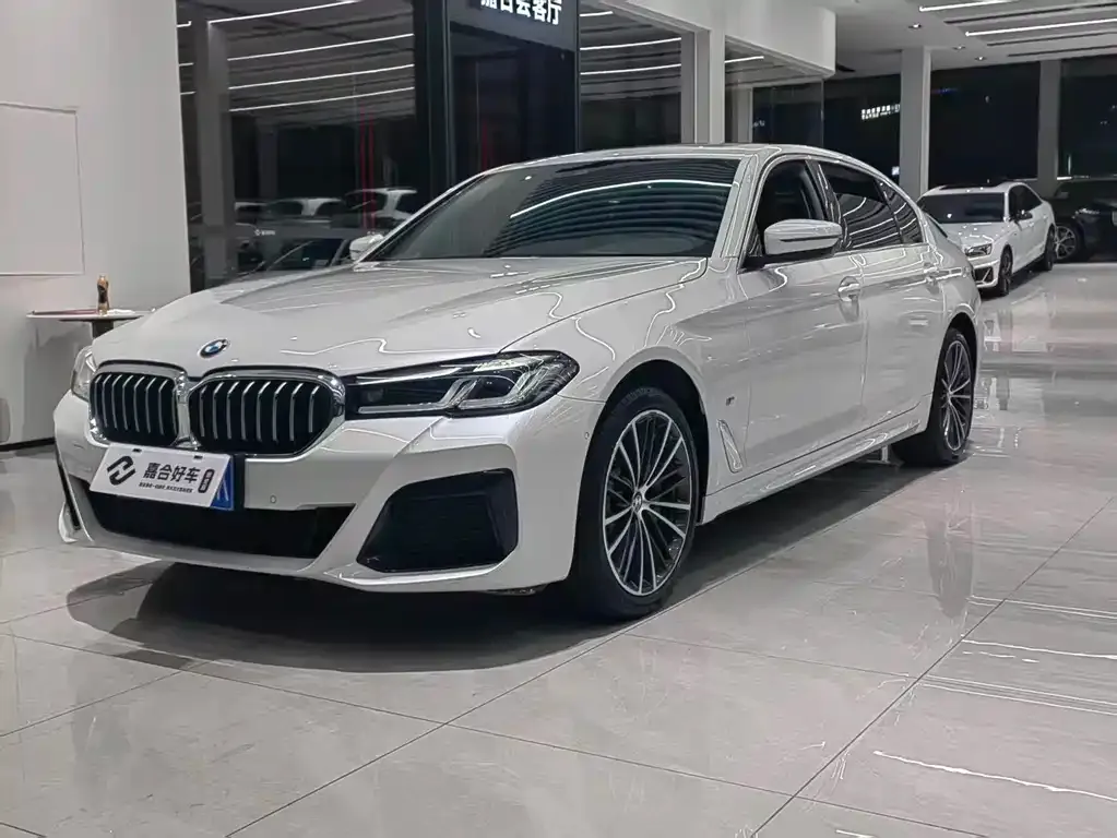 BMW 5 Series 2024 из CN, фото 1