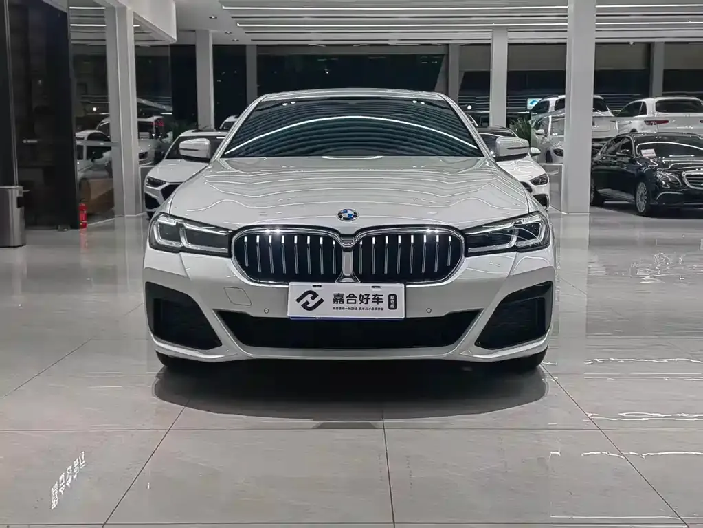 BMW 5 Series 2024 из CN, фото 8