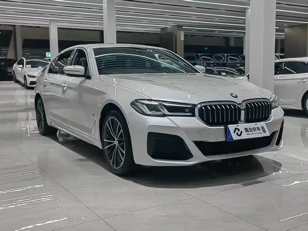 BMW 5 Series 2024 из CN, фото 6