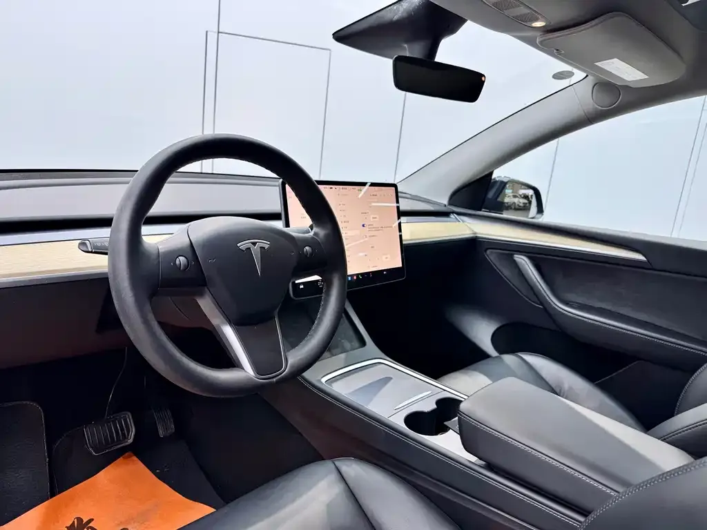 Tesla Model Y — фото 10