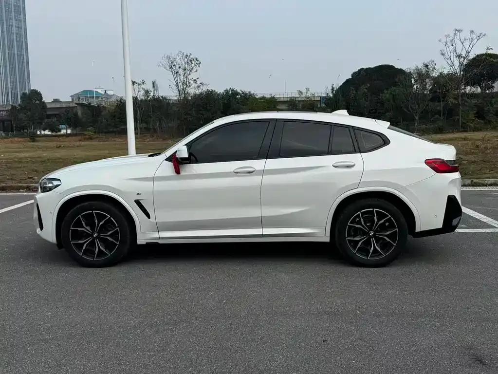 BMW X4 2024 из CN, фото 5