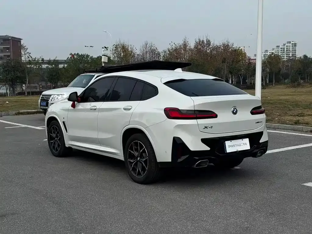 BMW X4 2024 из CN, фото 9