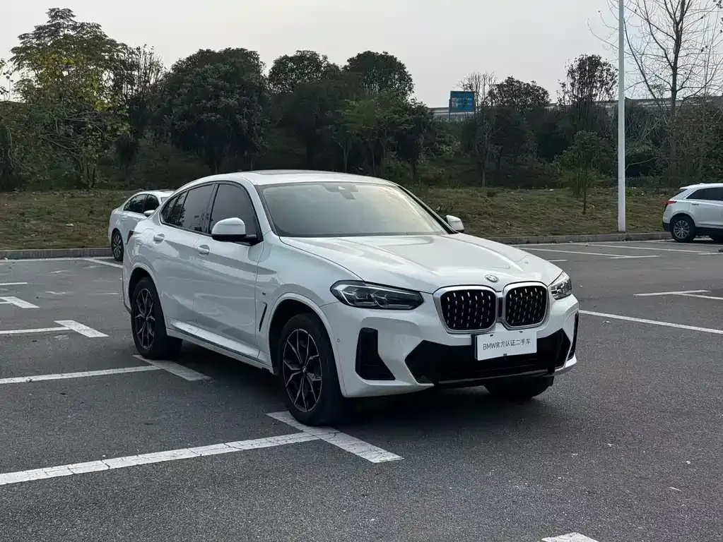 BMW X4 2024 из CN, фото 8
