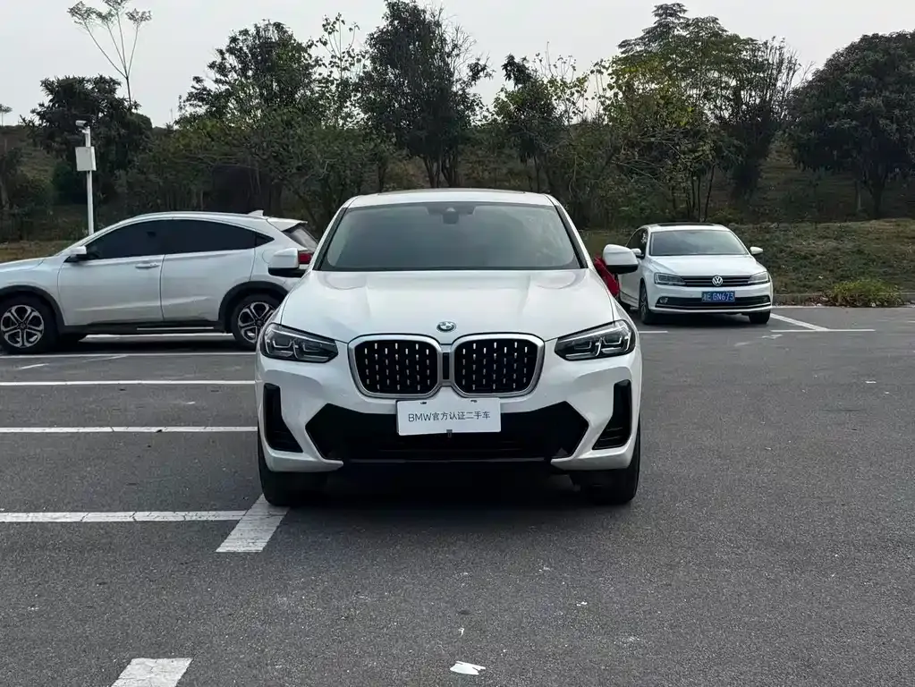 BMW X4 2024 из CN, фото 6
