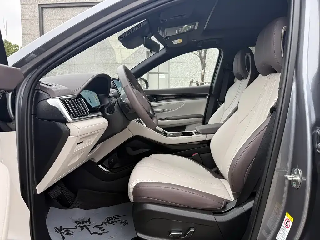 BYD PLUS New Energy 2025 из CN, фото 4