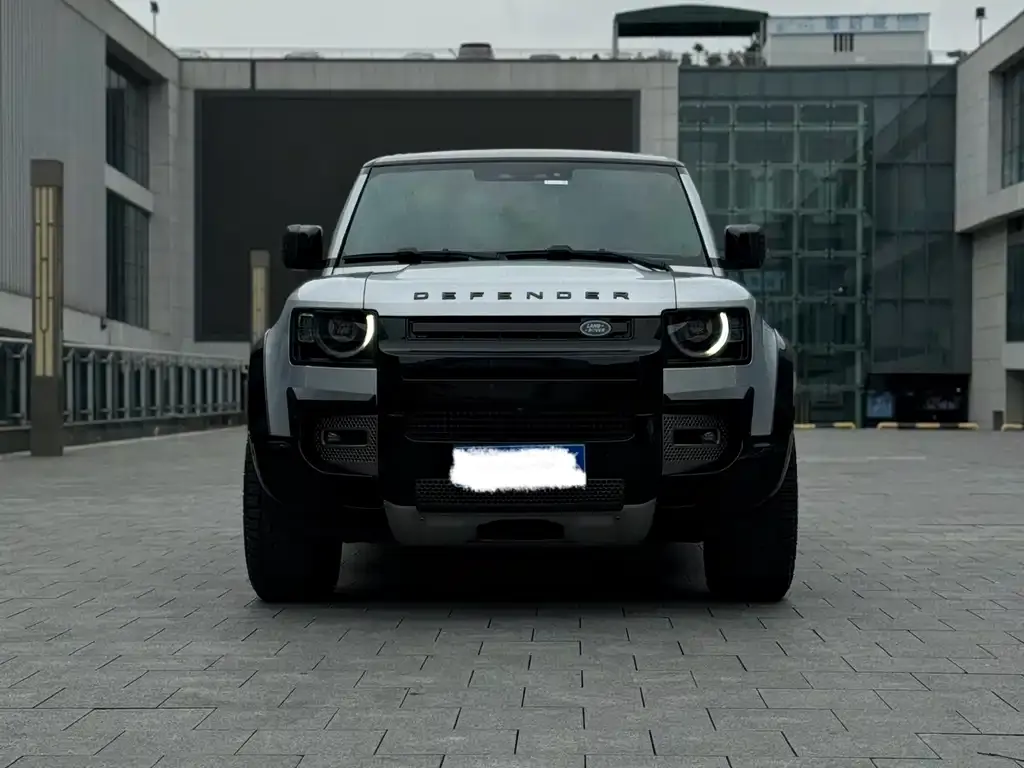 Land Rover Defender 2021 из CN, фото 5