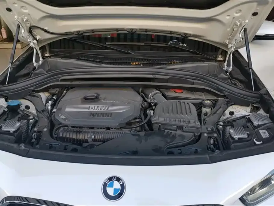BMW X2 2021 из CN, фото 7