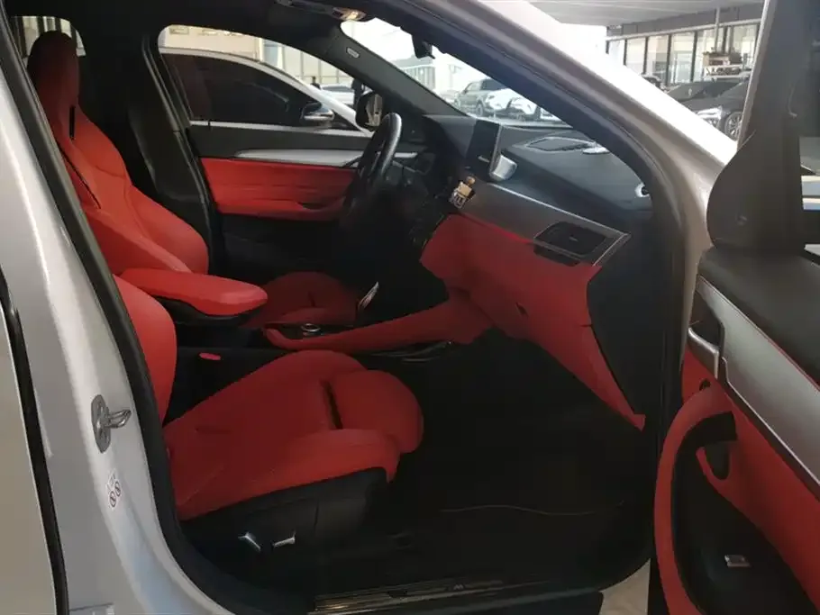 BMW X2 2021 из CN, фото 5