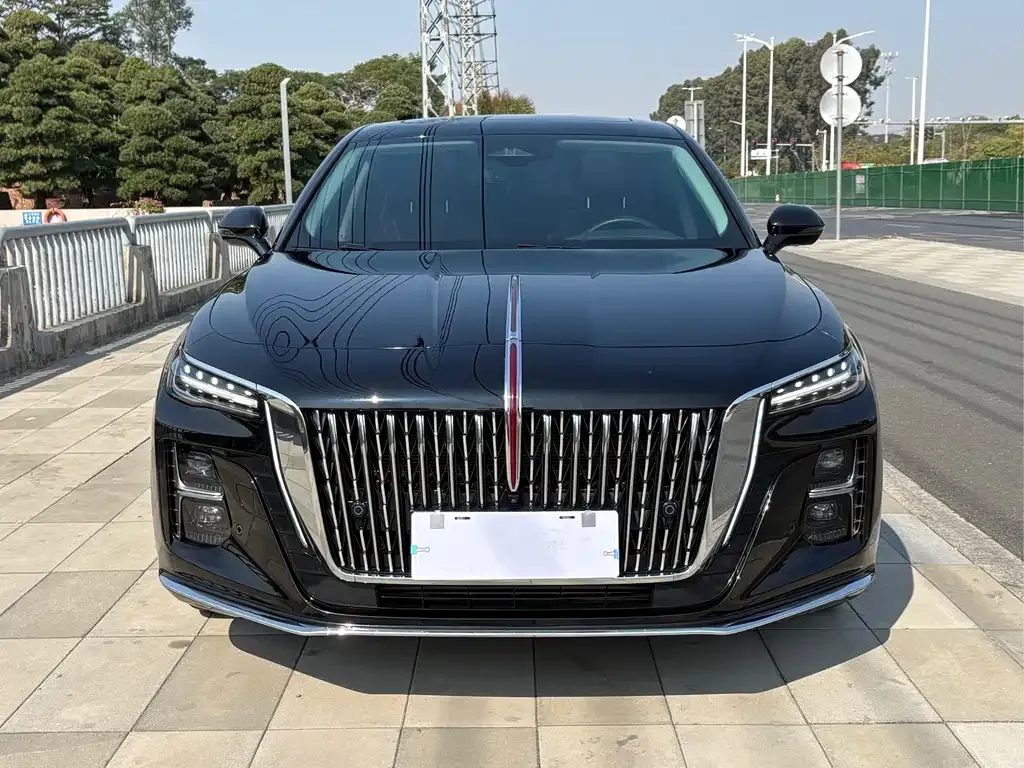 Hongqi H5 2024 из CN, фото 6