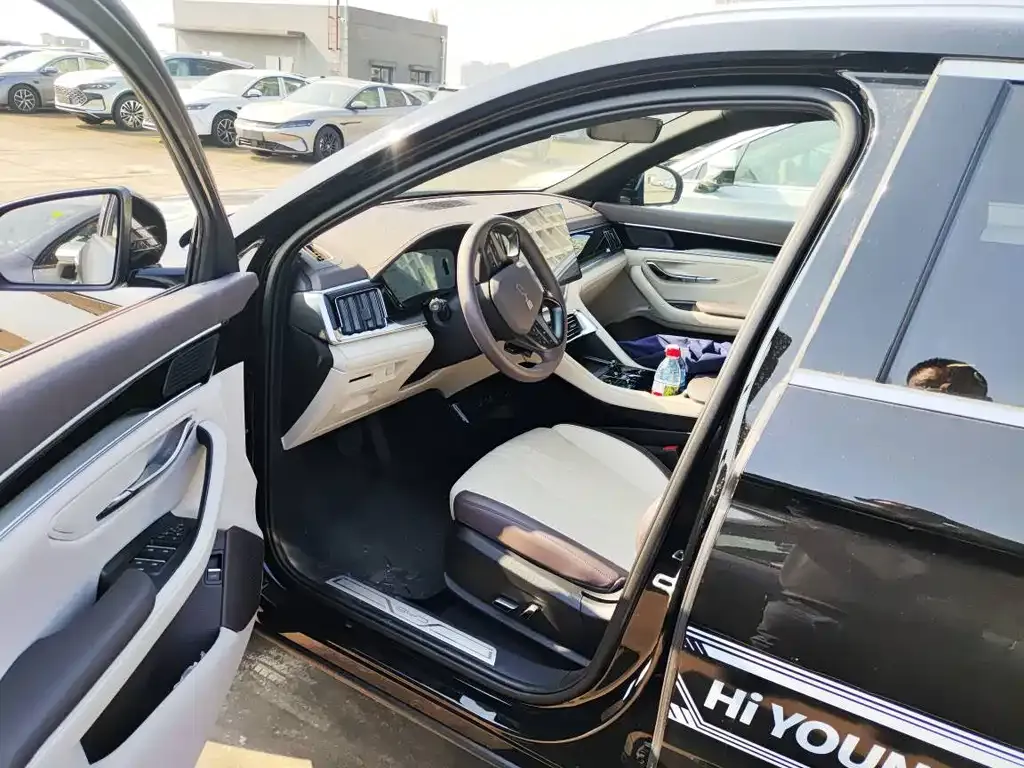 BYD PLUS New Energy 2025 из CN, фото 7