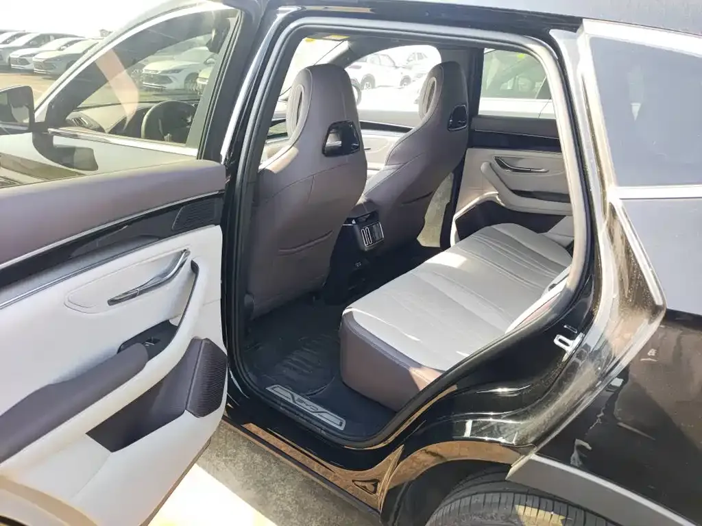 BYD PLUS New Energy 2025 из CN, фото 5