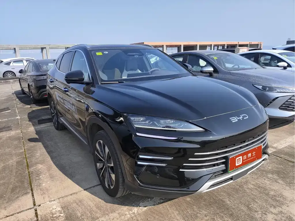 BYD PLUS New Energy 2025 из CN, фото 9