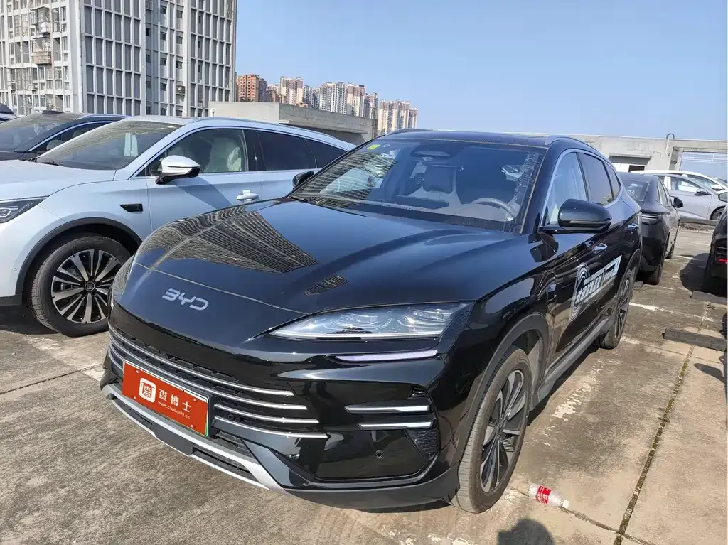 BYD PLUS New Energy 2025 из CN, фото 6