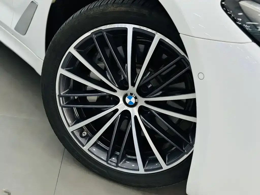 BMW 5 Series 2024 из CN, фото 10