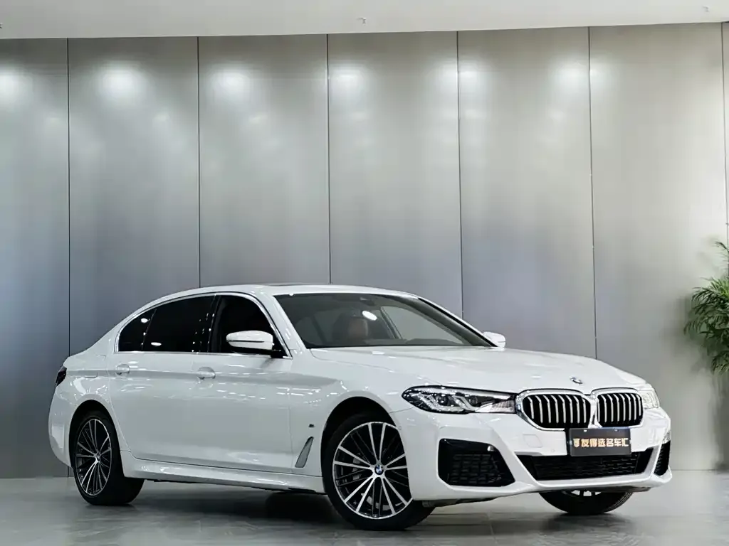 BMW 5 Series 2024 из CN, фото 3