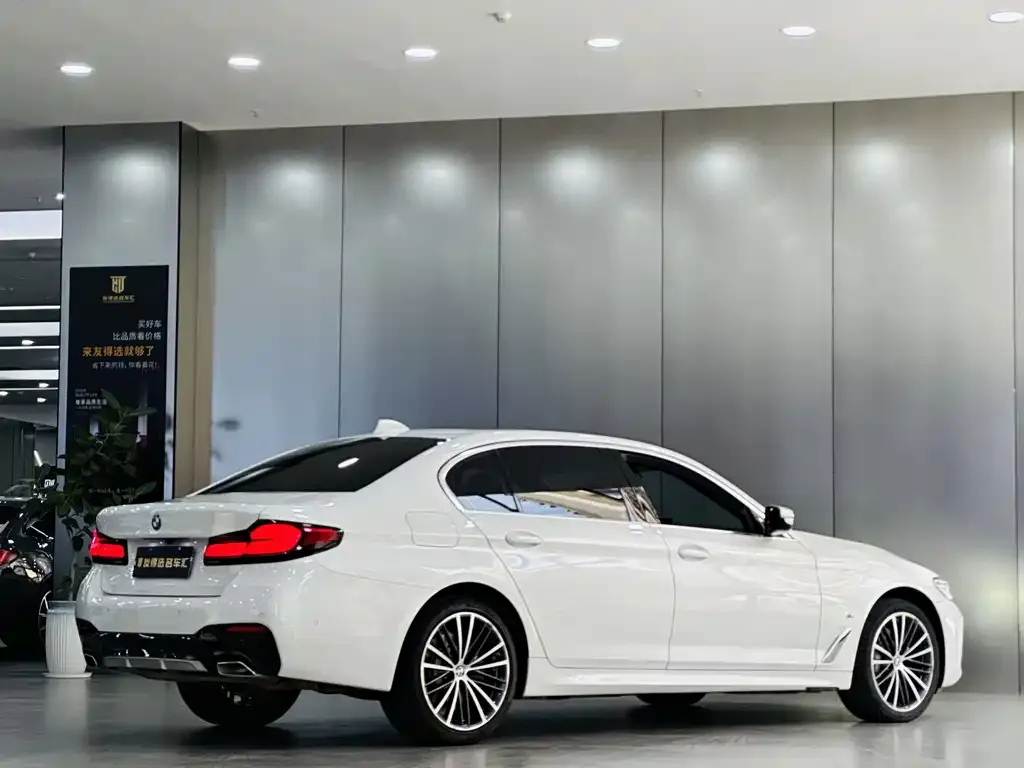BMW 5 Series 2024 из CN, фото 7