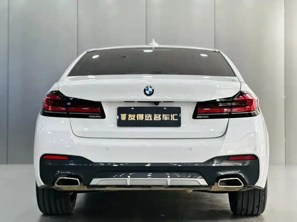 BMW 5 Series 2024 из CN, фото 8