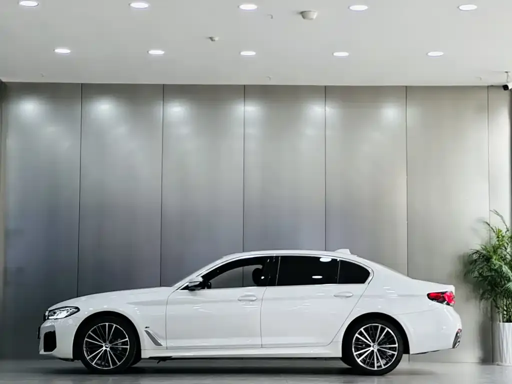 BMW 5 Series 2024 из CN, фото 9