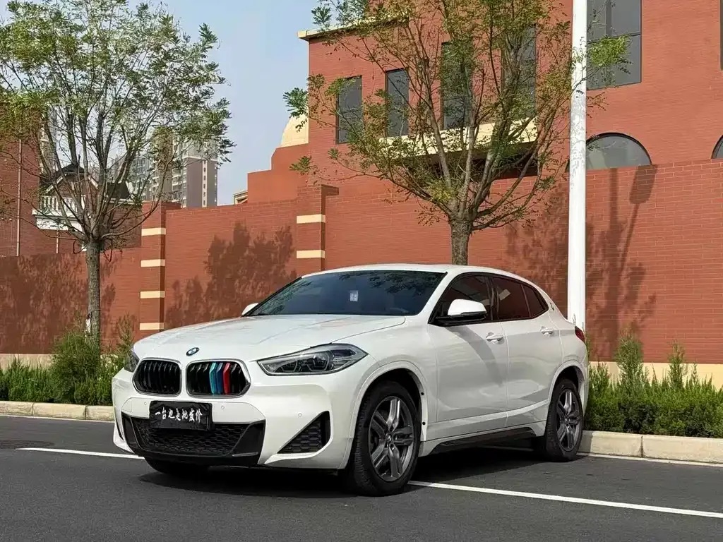 BMW X2 2022 из CN, фото 1