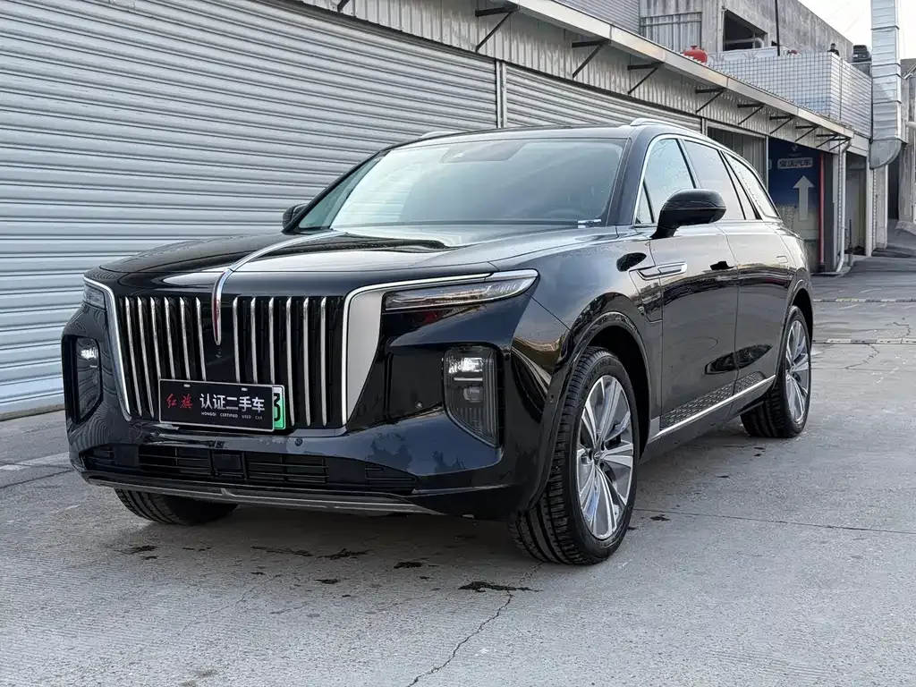 Hongqi E-HS9 2025 из CN, фото 1