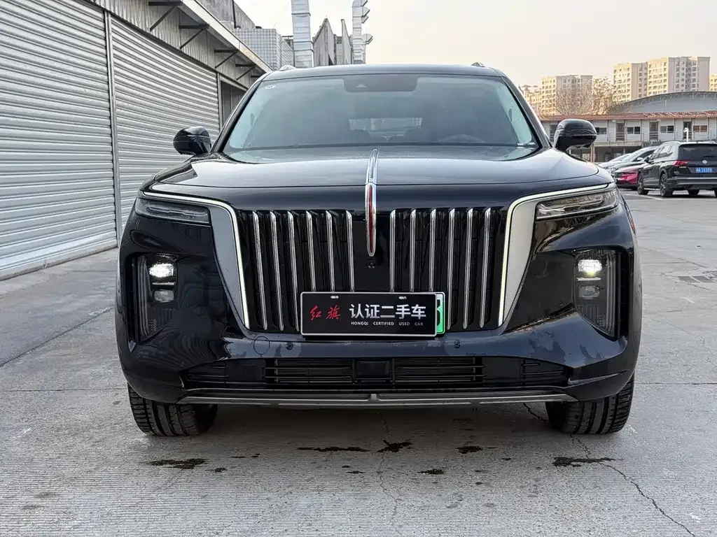 Hongqi E-HS9 2025 из CN, фото 4