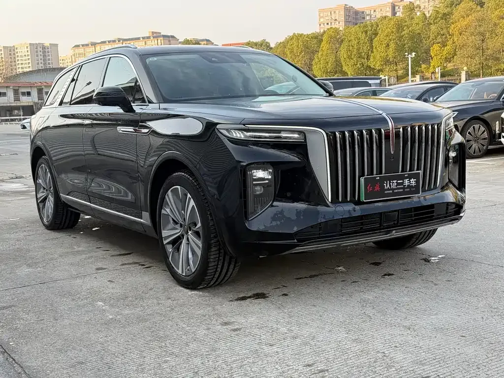 Hongqi E-HS9 2025 из CN, фото 6