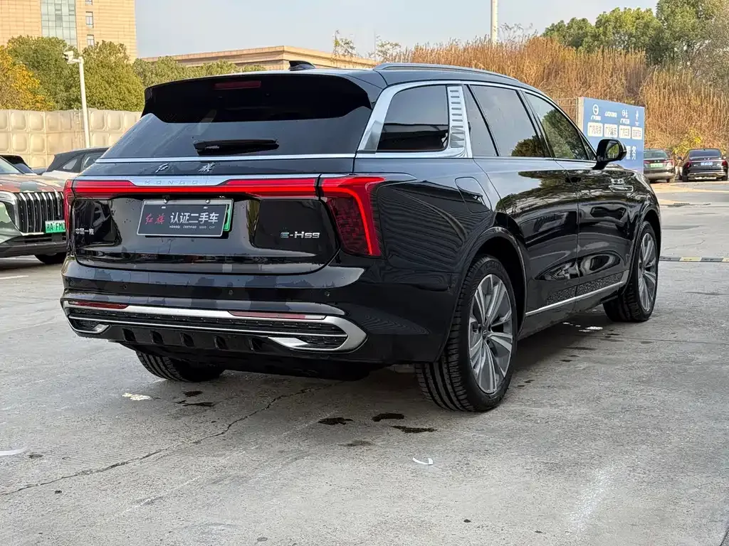 Hongqi E-HS9 2025 из CN, фото 5