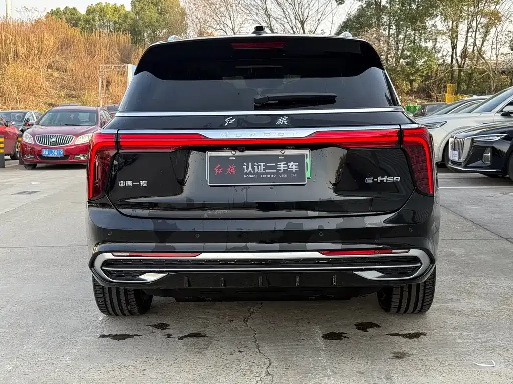 Hongqi E-HS9 2025 из CN, фото 8
