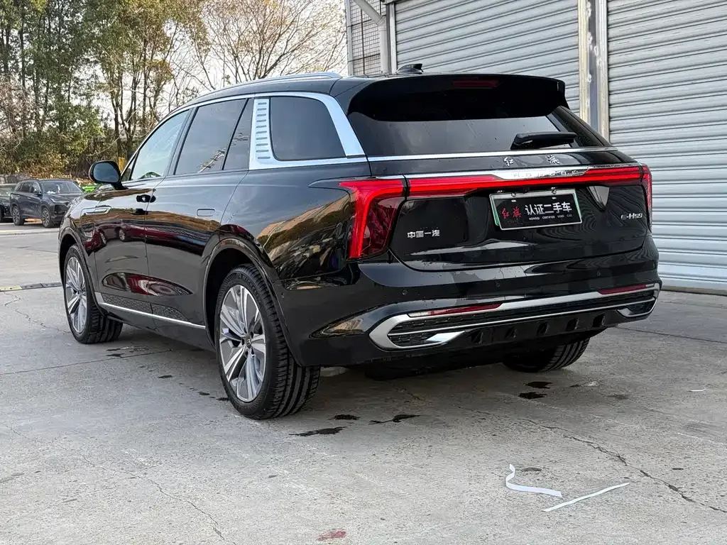 Hongqi E-HS9 2025 из CN, фото 7