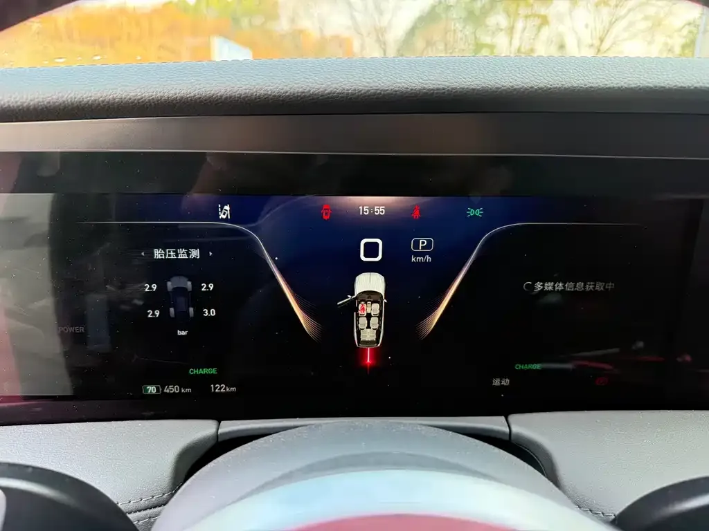 Hongqi E-HS9 2025 из CN, фото 2