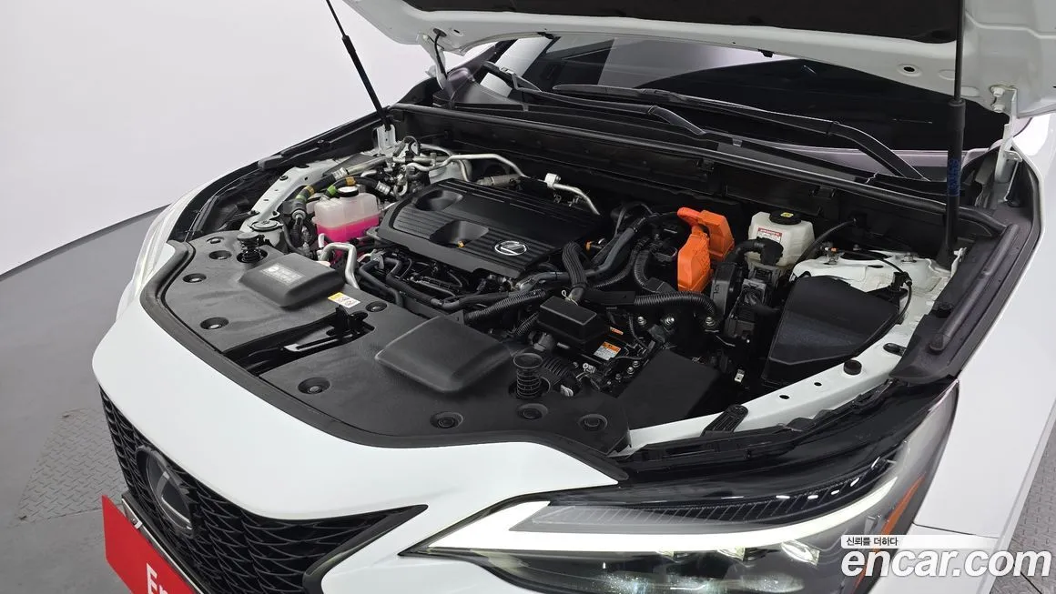 Lexus NX 2022 из KR, фото 4