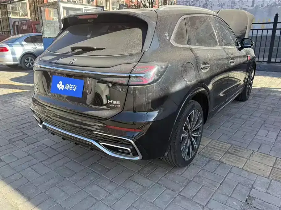 Hongqi HS5 2024 из CN, фото 9
