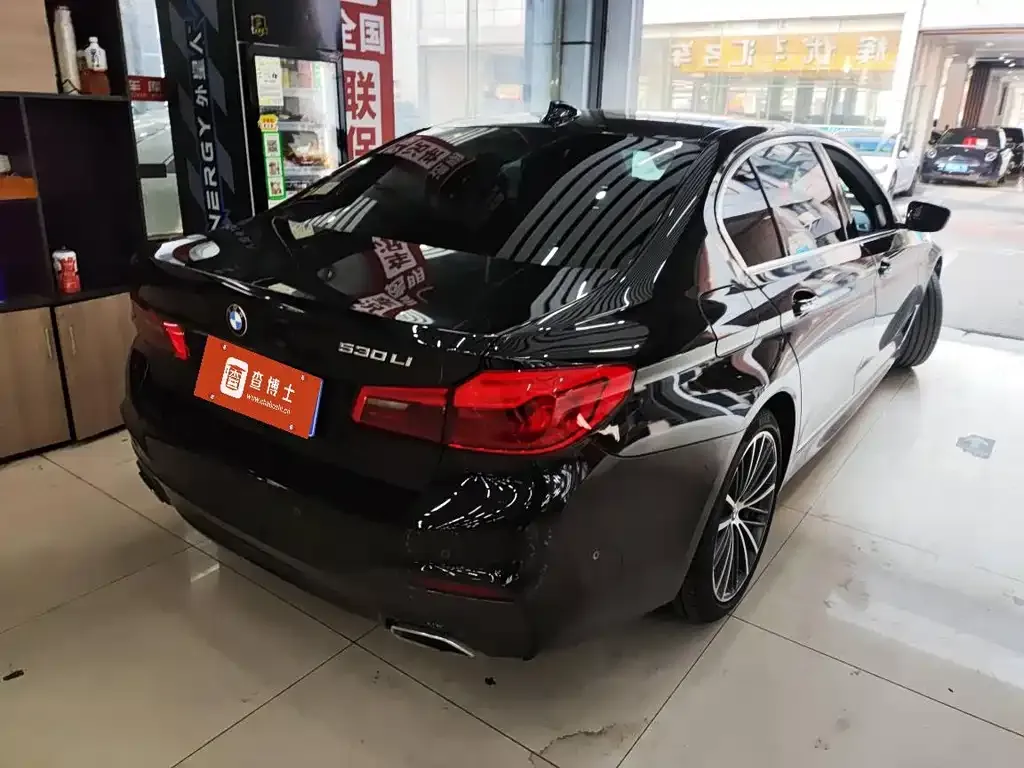 BMW 5 Series 2021 из CN, фото 5