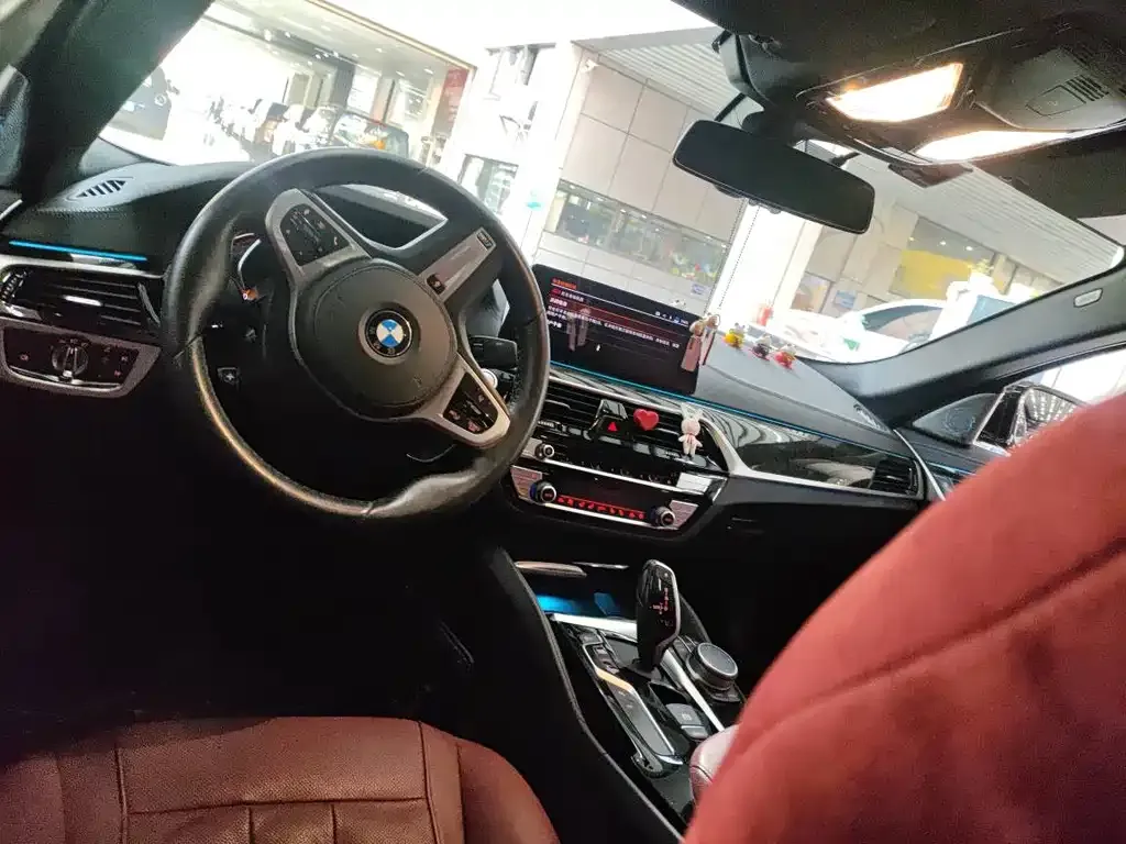 BMW 5 Series 2021 из CN, фото 8