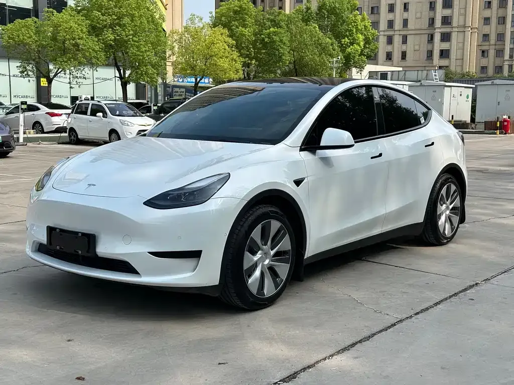 Tesla Model Y 2021 из CN, фото 1