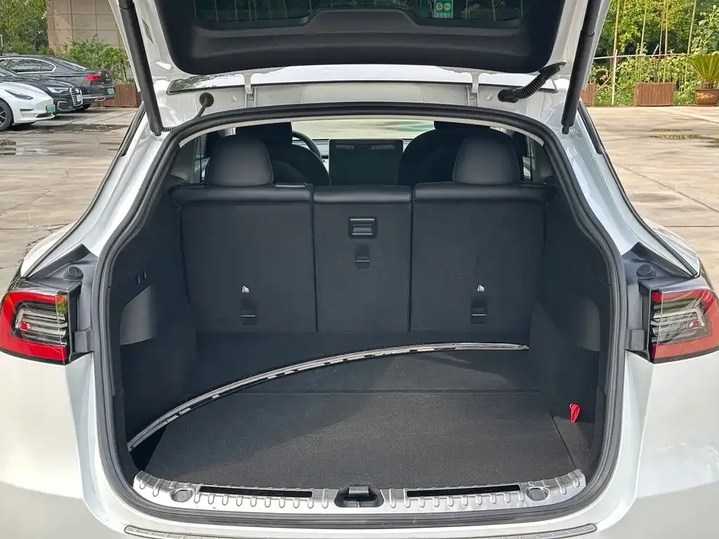 Tesla Model Y 2021 из CN, фото 3