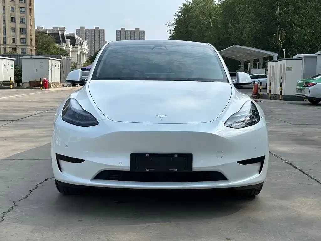 Tesla Model Y 2021 из CN, фото 5